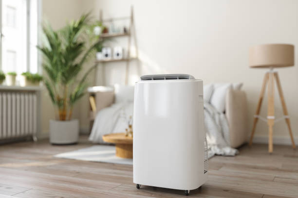 Best Affordable HVAC services  in Carlisle, IA
